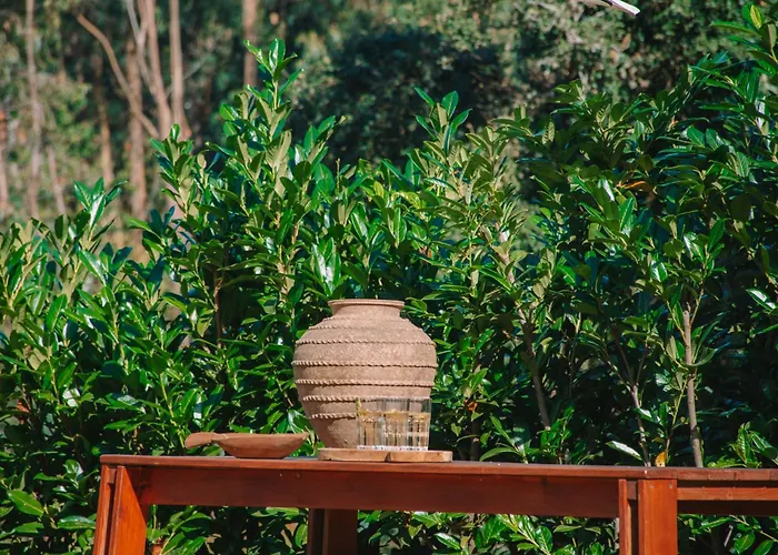 Just Like - Casa Do Botijal